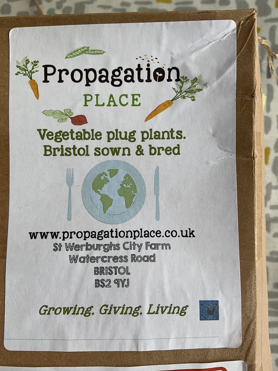 kateleehughes's tweet image. A new favourite discovery: socially minded @PropPlace Plug plants for my winter veg beds arrived in good condition &amp;amp; plastic-free packing.
