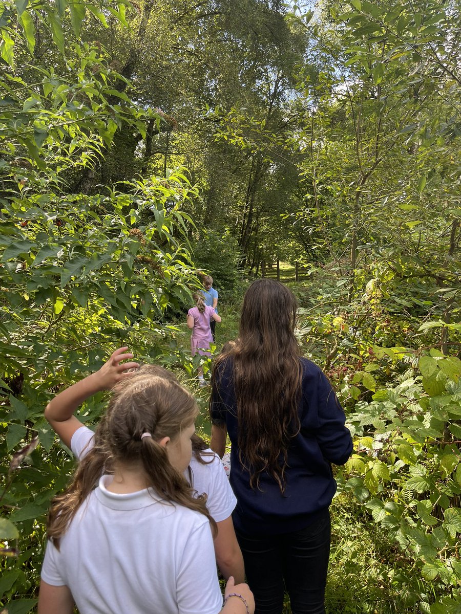Mr_WStephen's tweet photo. Outside today exploring new routes for our Daily Mile #TeamDuror #outdoors #thisishighland #dailymile #multicomposite https://t.co/9WKzKd7mxV