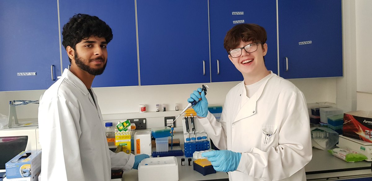 TargLungImmuno's tweet photo. We hope our two @in2scienceUK students had fun on their placement - trying out lots of lab techniques! Thanks to #in2sci22 for the amazing opportunity! π§«π§¬ https://t.co/AbNbo3vnmu