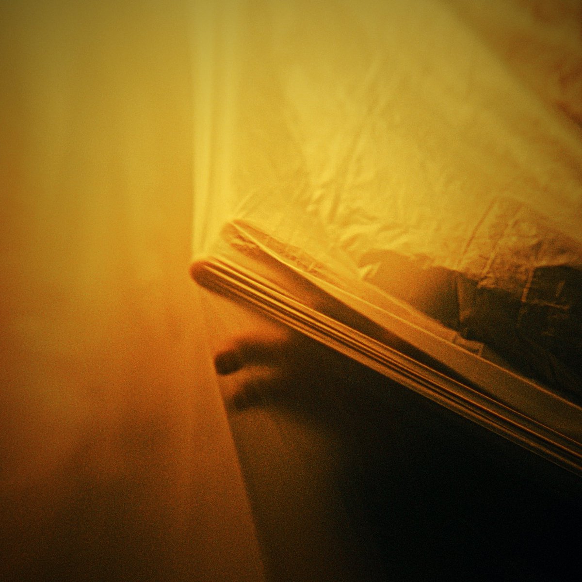 Je suis ce qui reste.. 🫳

" <73 " disponible mercredi.