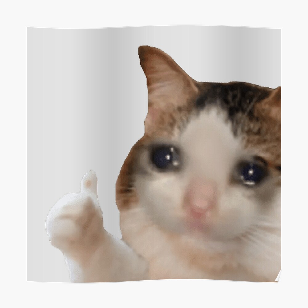 Cat thumbs up