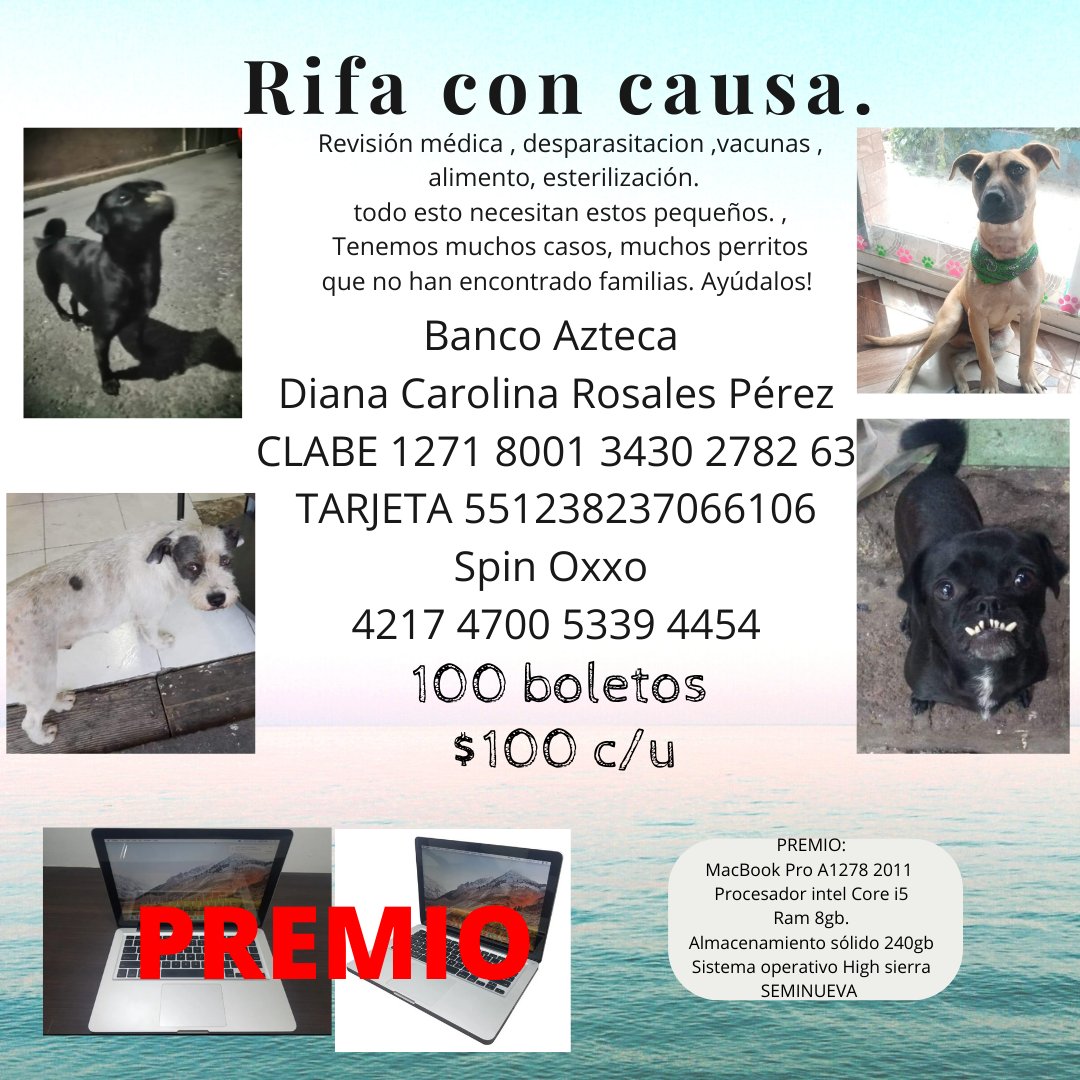 VIBRAmascotas's tweet photo. Ni 10 boletos hemos vendido :( ayúdanos a seguir ayudando.  Si no te interesa la rifa pero quieres ayudarlas también se reciben donativos en especie.  Están en Neza https://t.co/mNlCQK0CPn