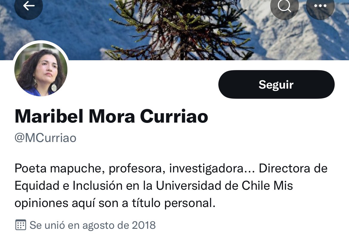 EconomistaFlait's tweet photo. Traducción: 
Los rotos asalariados votan por lo que les dice el patrón. 

Directora de “equidad e inclusión” de la @uchile. Super inclusivos sus comentarios. https://t.co/Pt1tvij7Cx