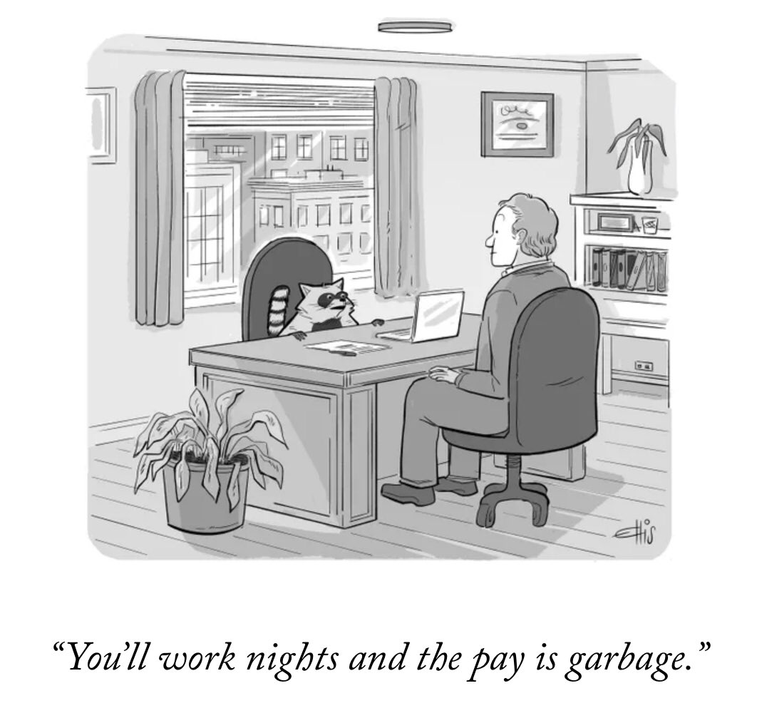 EllisRosen's tweet photo. My cartoon in this weeks New Yorker 🦝 https://t.co/MSXZXcwTYw