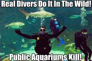 sea_saved's tweet photo. #DiversDirective
Leave Nothing...Touch Nothing...Take Nothing!
It's Forbidden to Interfere with the Natural Course of Nature!
Real Divers Don't Let Friends Collect Wildlife!
#UnCertifyDirtyDivers @PADI https://t.co/DNJmbkxMXS