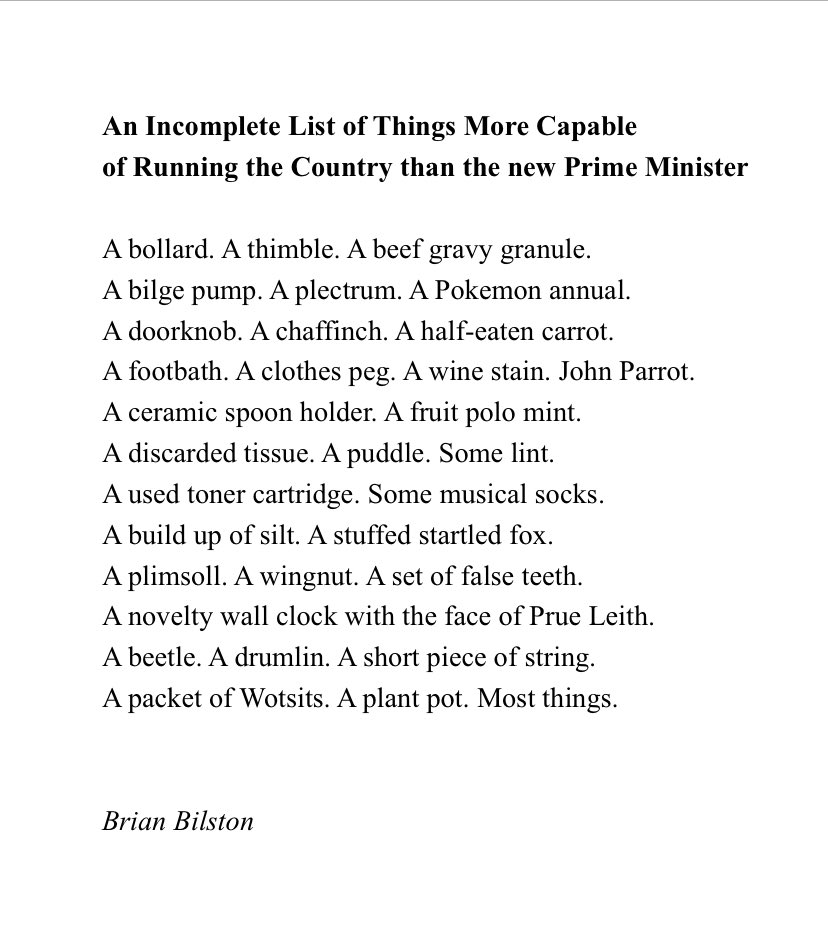 Here’s a poem called ‘An Incomplete List of Things More Capable of Running the Country than the new Prime Minister’.