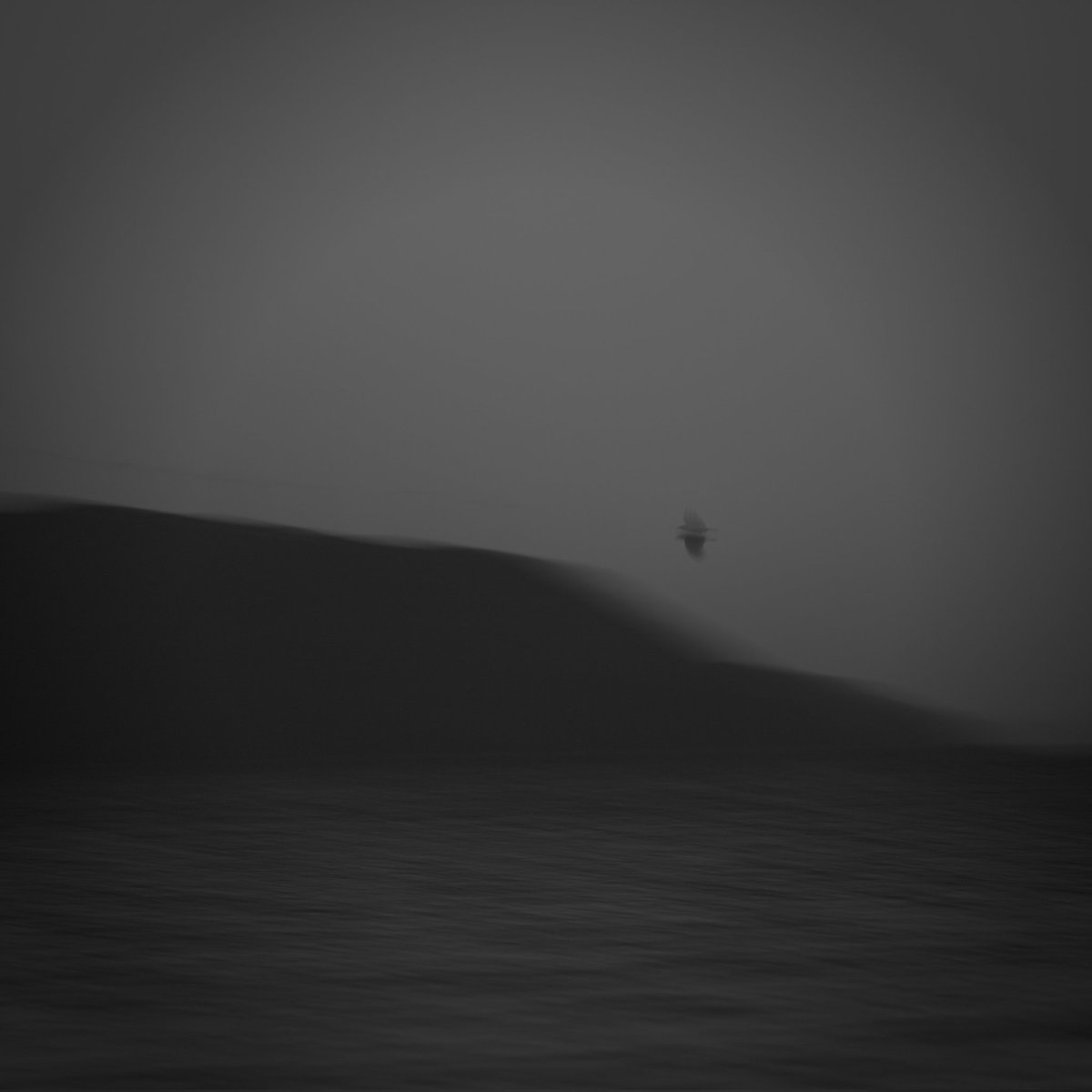 CndnStrpr's tweet image. &quot;parallel&quot;

1.5 $xtz 5/6 

objkt.com/asset/hicetnun…