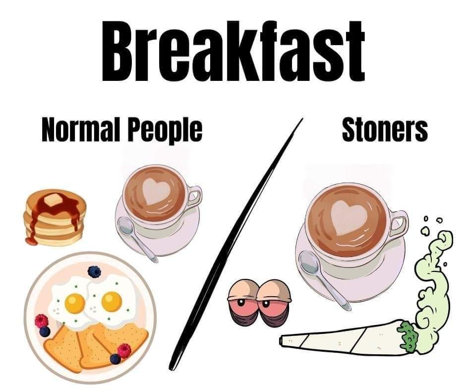 Lillymoon25's tweet photo. What can I say🤷🏻‍♀️🤷🏻‍♀️🤷🏻‍♀️💚💚💨 #Mmemberville #STONER #cannabiscomunity #morning https://t.co/t4TOn0HyKG