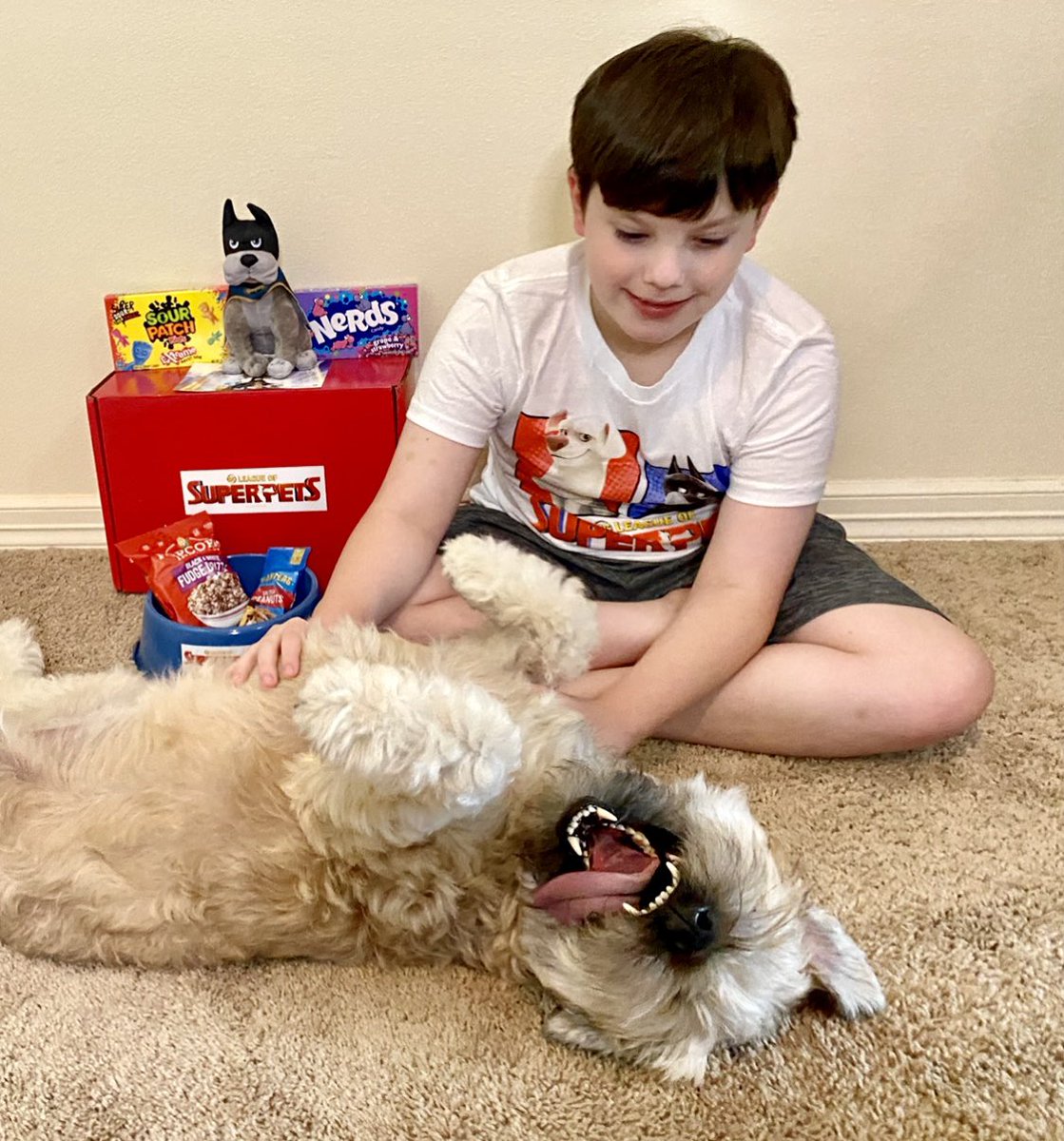 MrsMeyer83's tweet photo. They’re just too Cute!🤗❤️ #DCLeagueOfSuperPets #DogsAreFamily #cuties #dogs #love #playwithethan https://t.co/XZlYx99moO