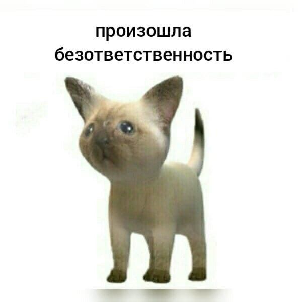sofiaaazt1n's tweet photo. https://t.co/IMfzqDZQGf