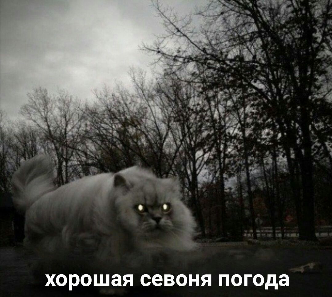 sofiaaazt1n's tweet photo. https://t.co/IMfzqDZQGf
