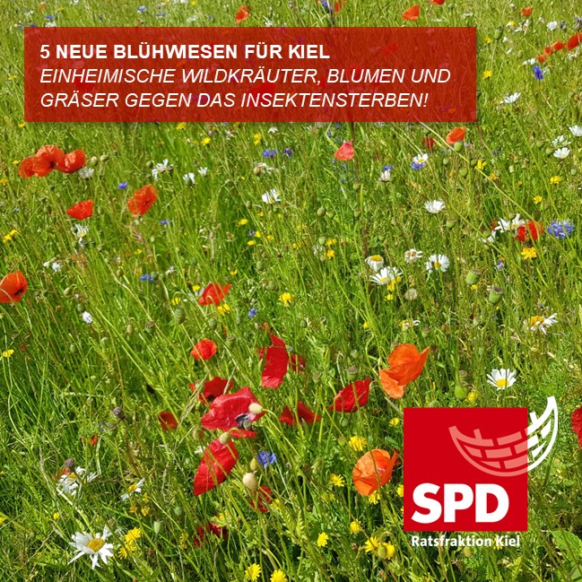 Wir setzen uns ein für ein lebendiges Kiel! (F)