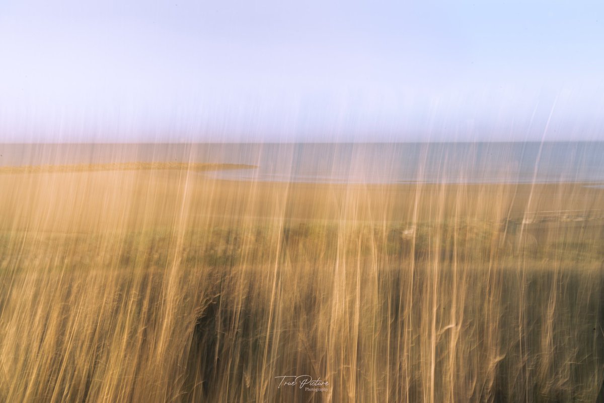 tppictures3's tweet photo. Playing around with ICM photography, not everyone’s cup of tea but I love the artistic look of this technique. #ICM #ICMphotography #artisticphotography #paintingwithacamera #amatuerphotography https://t.co/3qxcH4Yj7R