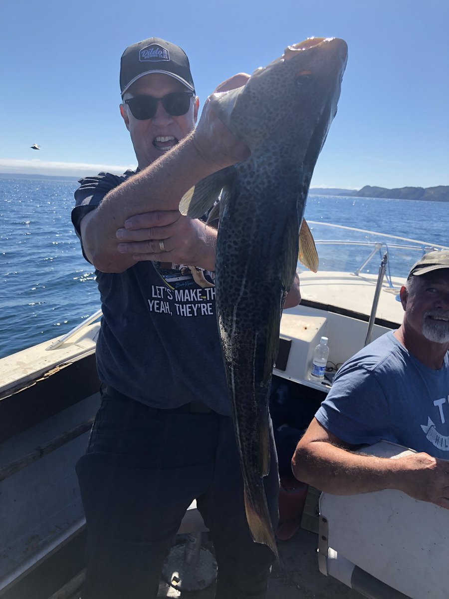 tuckster04's tweet photo. Jigging for cod in sunny Newfoundland. The boil up afterwards was deadly. https://t.co/Oai1V3HXSv