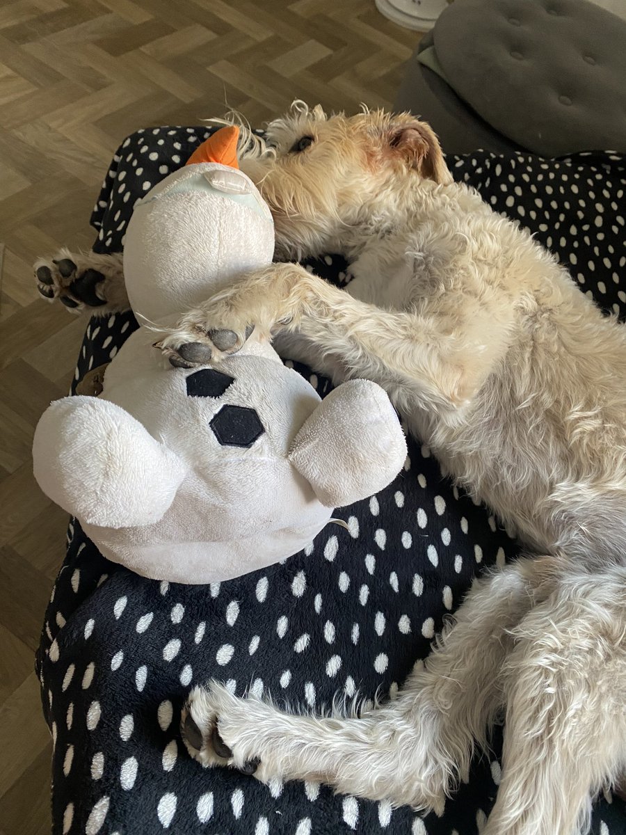 EmmaRogersGames's tweet photo. @tayadigital happy to oblige 🐶 https://t.co/wuUaM2EBWb