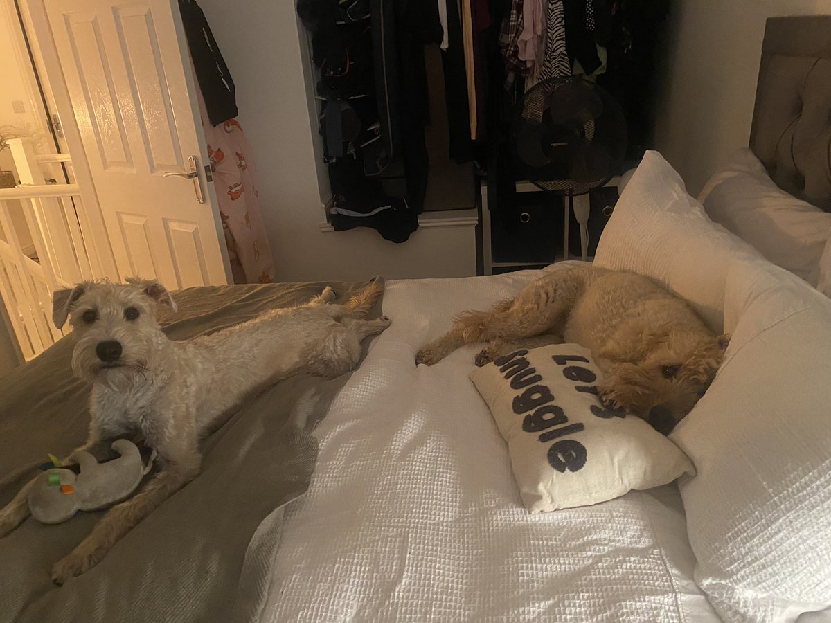 EmmaRogersGames's tweet photo. @tayadigital happy to oblige 🐶 https://t.co/wuUaM2EBWb