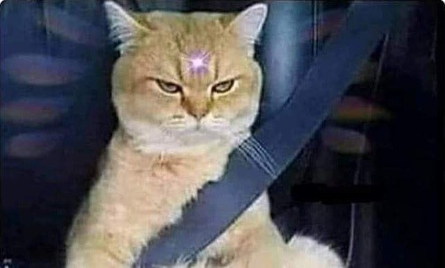 Guarromantico_'s tweet photo. Mi cara cuando el universo me sigue enviando pruebas y lecciones de vida en lugar de dinero. https://t.co/anFcedBBVB