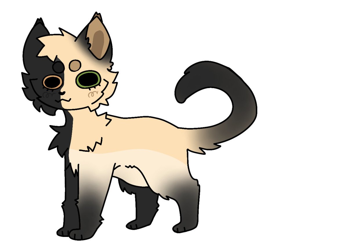 ProfessionClown's tweet photo. @ArtistiaCons Okay dokay

These plus my whole warrior cat fan made clan https://t.co/DxFVgyaszU
