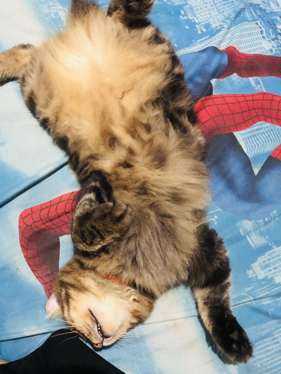 Boy gede banget skrg 😭😭