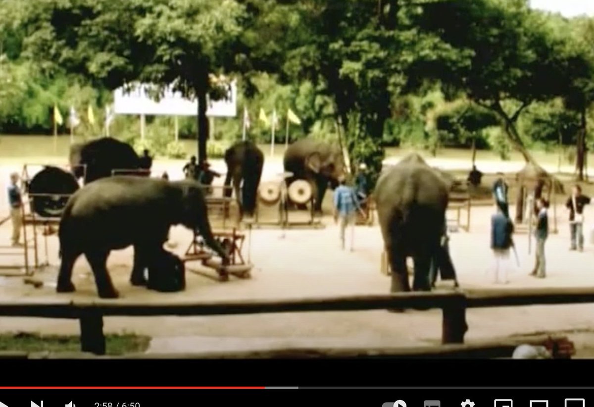 ElephantsRule's tweet photo. @dhawan_niki @IDAUSA @BornFreeUSA There is a sad history of #US zookeepers forcing #elephants to play musical instruments.
@ElephantsIEF #Richardlair #IUCN
https://t.co/vZCUOFA9RY https://t.co/3RXEEPpgxh