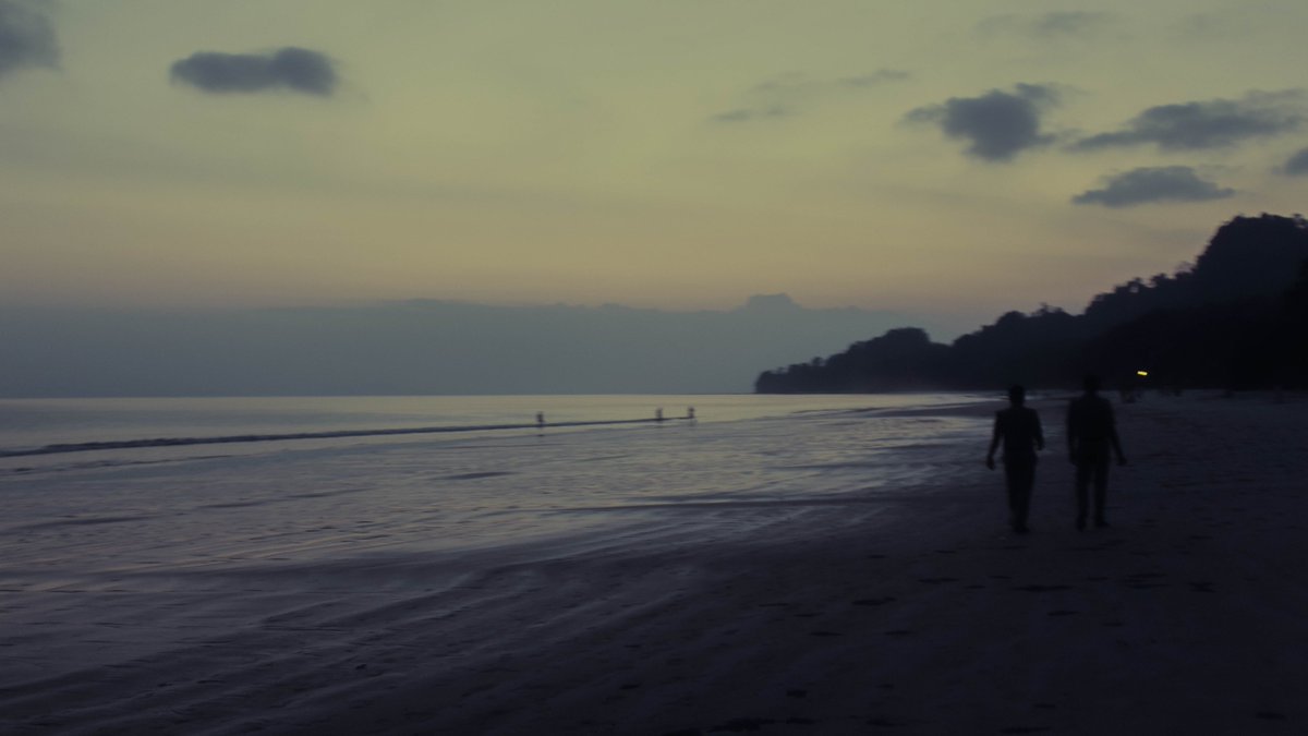 The simplicity of life