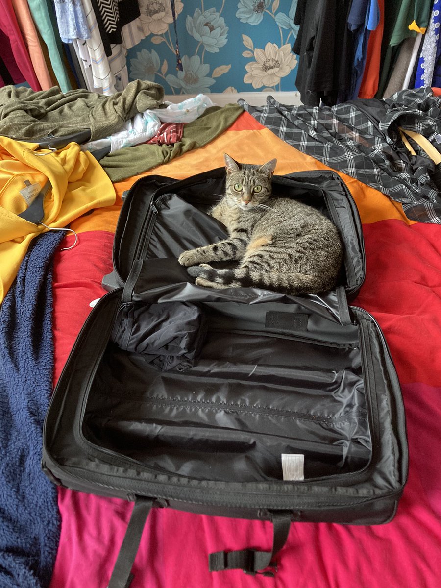 Probably shouldn’t have mentioned birds… Hiccup now wants to come! <a href="/HNBirds2022/">HNB Conference 2022</a> #HNB2022