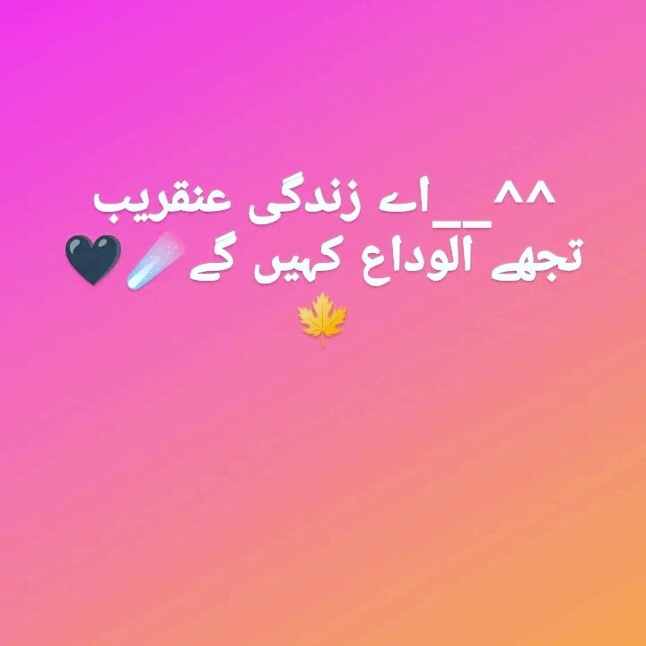 Naina Izhar Mithani tweet media