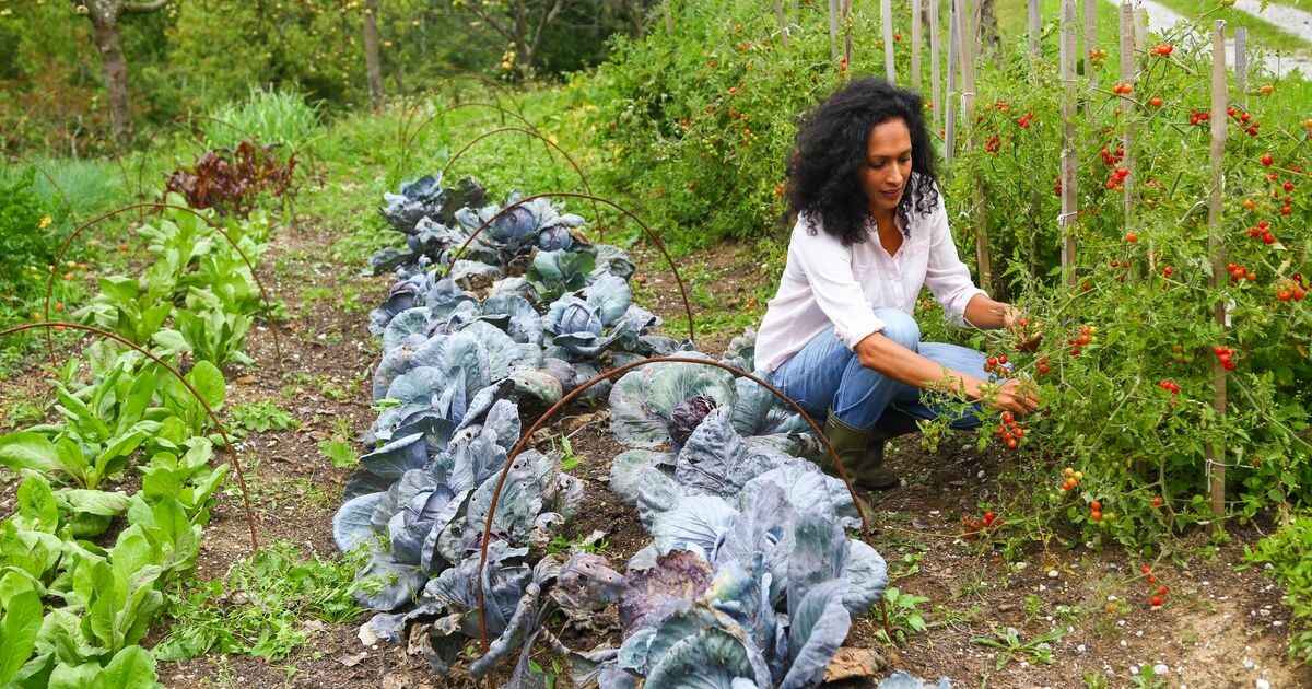 France Inter tweet media