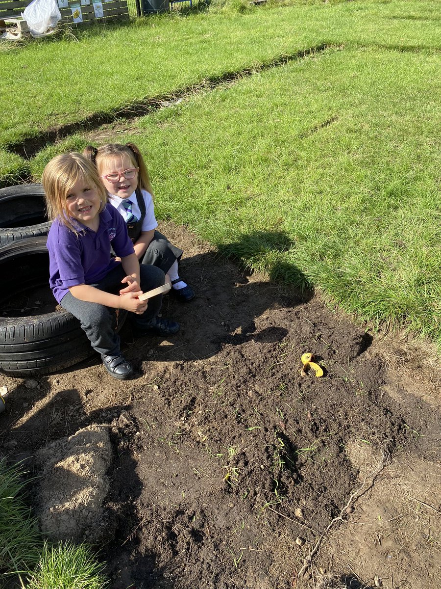 MrBlairBPS's tweet photo. ππ Back to Nature ππ
Earth soil π
Today in back to nature we learned all about earth and the importance it has on helping flowers and grass grow πΈ
Did you know banana peels and apple cores are great for soil?
Ask at home how worms help soil too π
#BPSBackToNature https://t.co/fcgfqL5Gxm