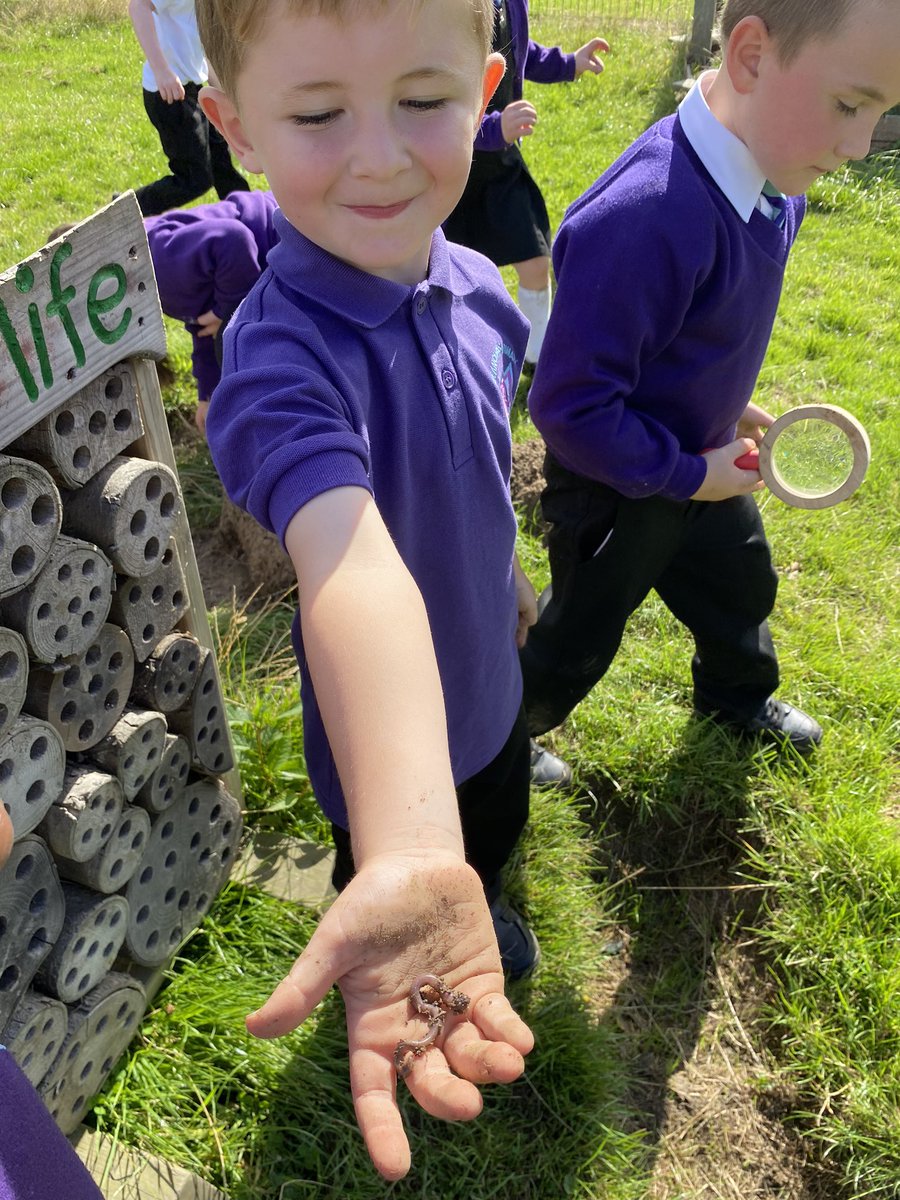 MrBlairBPS's tweet photo. ππ Back to Nature ππ
Earth soil π
Today in back to nature we learned all about earth and the importance it has on helping flowers and grass grow πΈ
Did you know banana peels and apple cores are great for soil?
Ask at home how worms help soil too π
#BPSBackToNature https://t.co/fcgfqL5Gxm