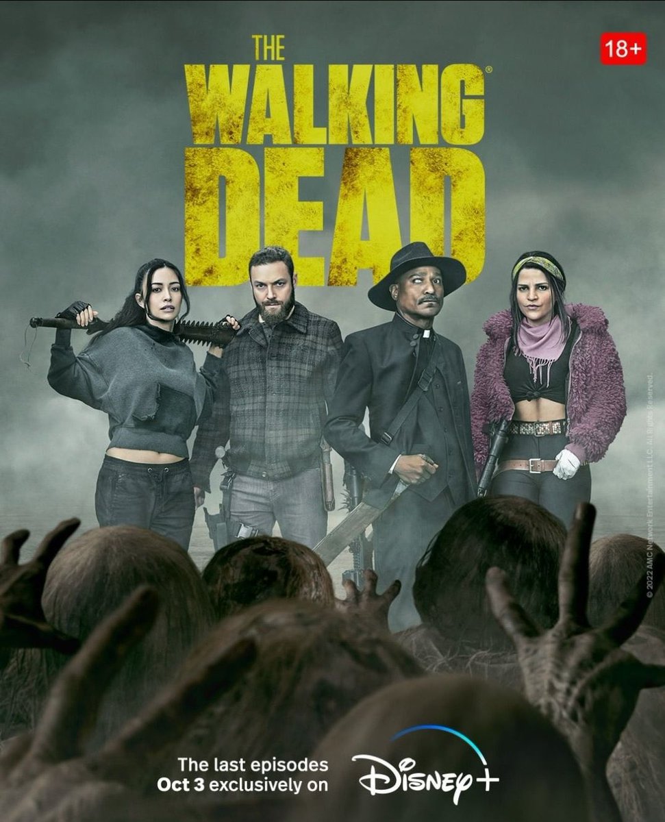 Alternative key art posters featuring the main cast of #TheWalkingDead for Disney+ release!