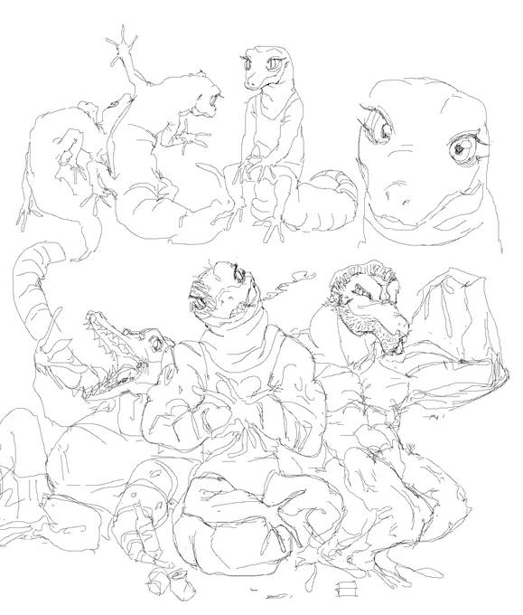 gecko 