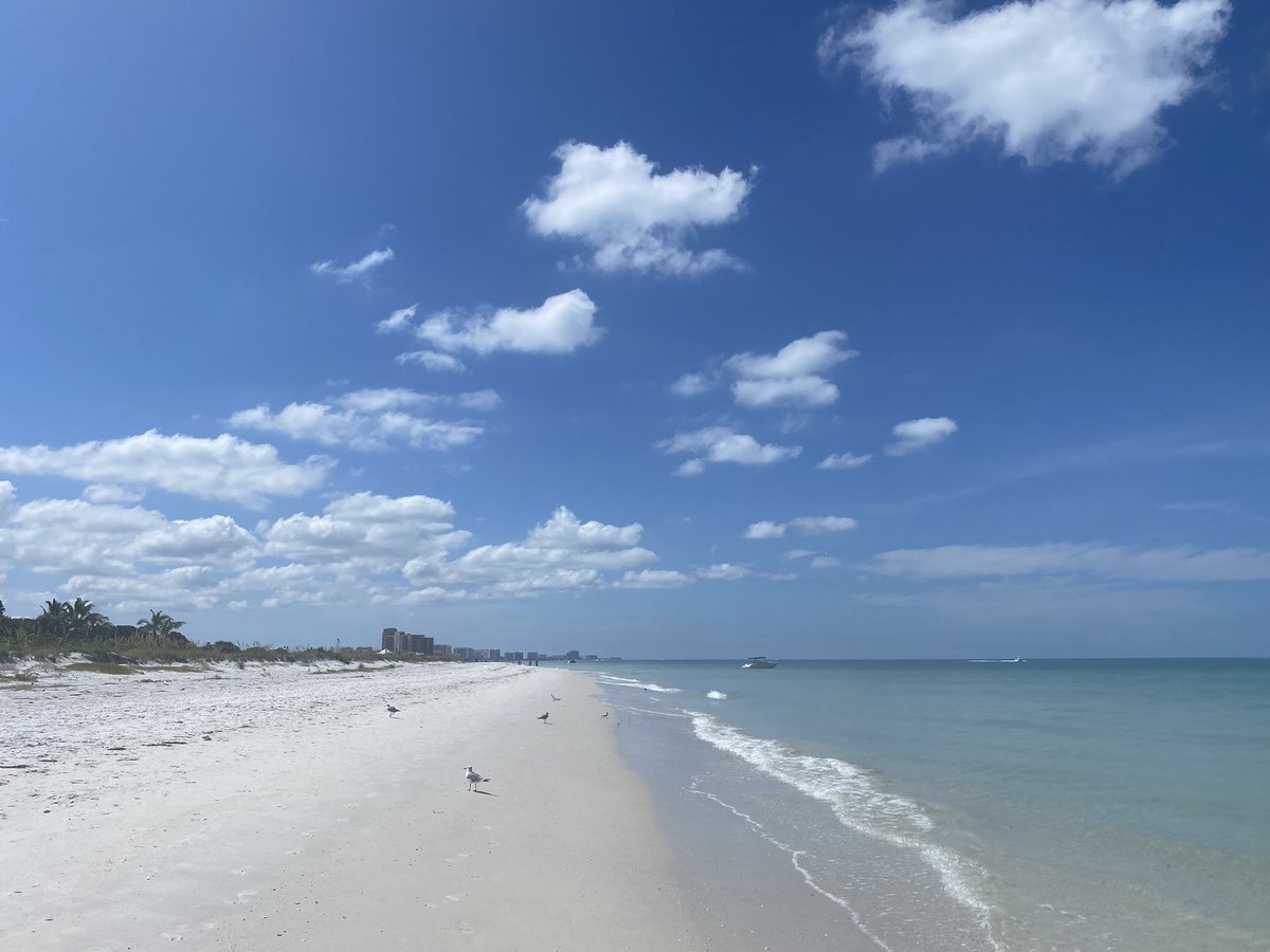 MyClearwater's tweet image. Hopefully you’re working hard not to labor on #LaborDay. City offices are closed today, and #ClearwaterBeach is as #beautiful as ever. 🙃