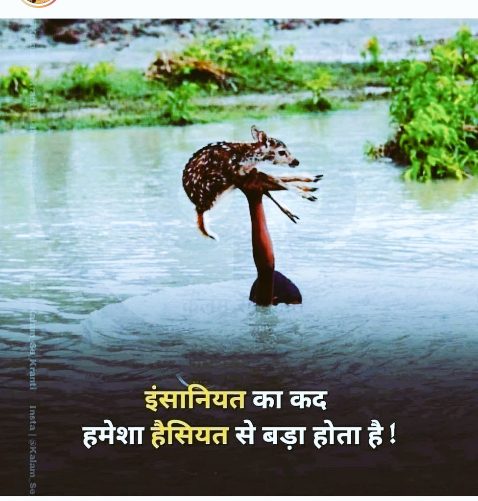 देश में मानवता ही सबसे बड़ी एक तारने वाला सबसे बड़ा है