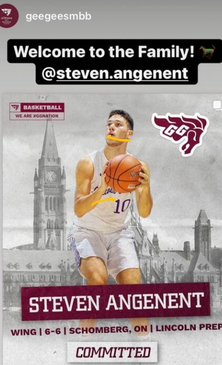 V_PANTHERS_AAU (@v_panthers_aau) on Twitter photo On behalf of myself, <a href="/MistaPresto/">Mista Presto</a> and all the coaches at Vaughan Basketball. We'd like to wish <a href="/StevenAngenent/">Steven Angenent</a> congratulations and best of luck at the next level of basketball. A long journey to his new home at the University of Ottawa. Go GGs! Go <a href="/VauBasketball/">Vaughan Basketball</a> #ggnation On behalf of myself, <a href="/MistaPresto/">Mista Presto</a> and all the coaches at Vaughan Basketball. We'd like to wish <a href="/StevenAngenent/">Steven Angenent</a> congratulations and best of luck at the next level of basketball. A long journey to his new home at the University of Ottawa. Go GGs! Go <a href="/VauBasketball/">Vaughan Basketball</a> #ggnation