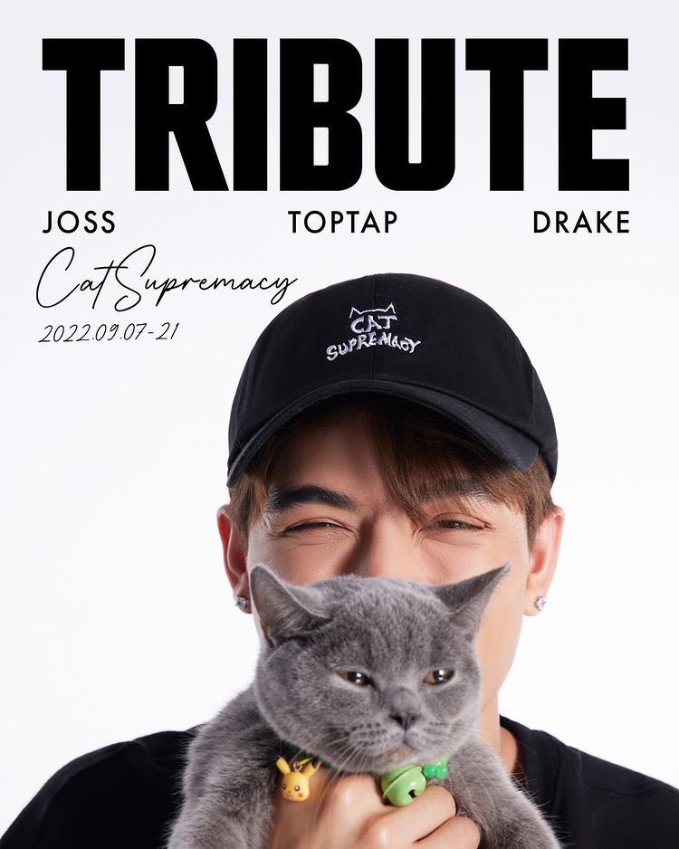 luxury_zulacos's tweet photo. Me da risa la cara de los gatos, son tipo: saquenme de aquí

#TributeXJossWayar
#ContributeWithTribute
#CatSupremacy
#JossWayar https://t.co/LsRkb66sci