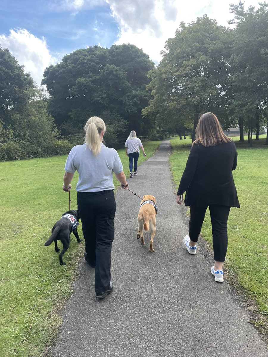 Durham Constabulary OK9 Wellbeing and Trauma Dogs tweet media