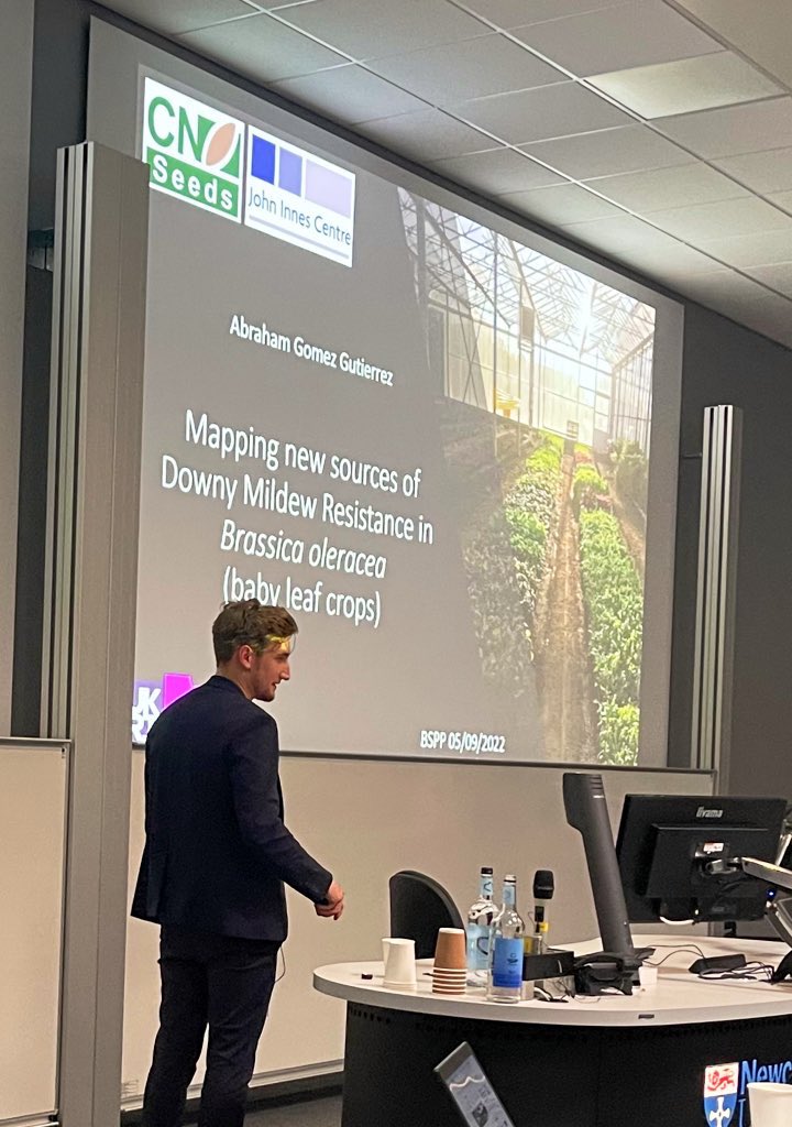 BS_PP's tweet photo. Final talk of Day 1 in the PH Gregory Comp goes to Abraham Gomez Gutierrez from @JohnInnesCentre! Mapping new sources of Downy Mildew resistance in B. oleracea #bspp2022 https://t.co/P3ItPCgtUG