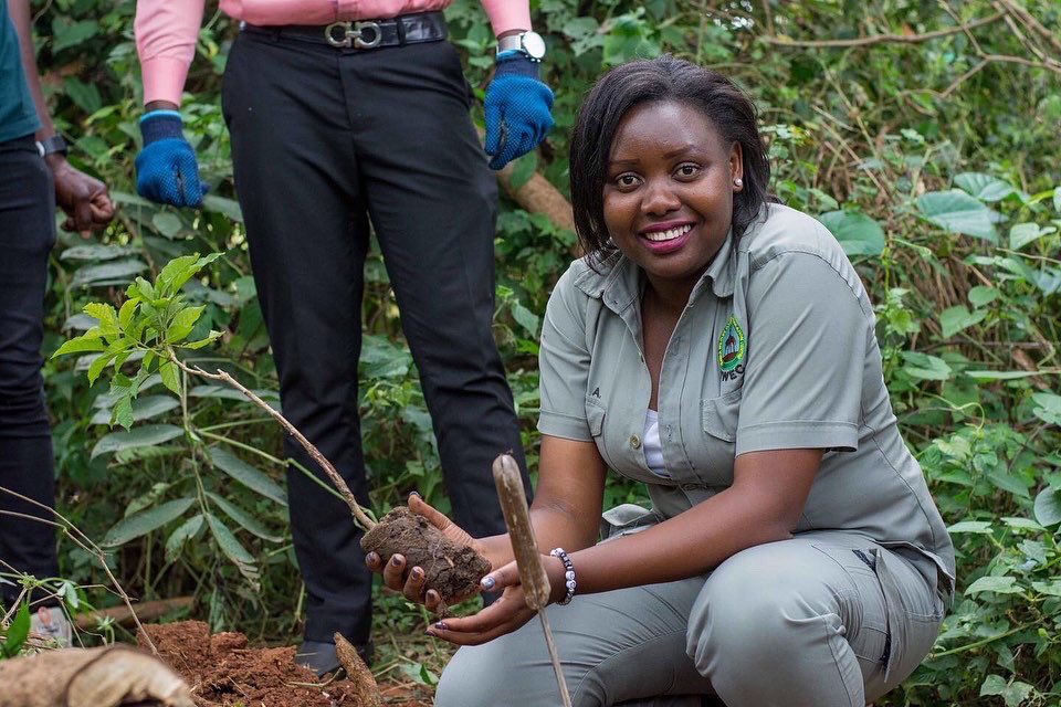 greenfuturesug's tweet photo. More from our tree planting session at the @UWEC_EntebbeZoo. 

We want to make it simple for anyone to help the environment by planting trees. Together, we can rebuild the world's forests, provide habitat for biodiversity, and have a beneficial social impact. #PamperATree https://t.co/PdUpEAZBYO