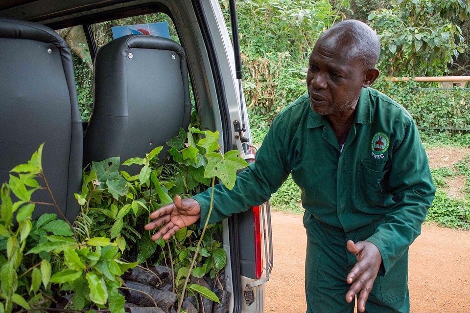 greenfuturesug's tweet photo. More from our tree planting session at the @UWEC_EntebbeZoo. 

We want to make it simple for anyone to help the environment by planting trees. Together, we can rebuild the world's forests, provide habitat for biodiversity, and have a beneficial social impact. #PamperATree https://t.co/PdUpEAZBYO