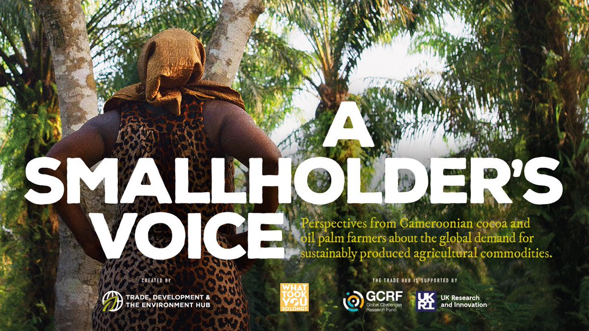GCRF_TRADE_Hub's tweet photo. Something’s coming.. #TRADEHub, together with award-winning filmmakers @wtysl, have something special to share on Friday 9th September! 

Global demand for sustainable cocoa and oil palm is increasing. Are the voices of smallholders heard in the search for solutions?

SEP 9, 11AM https://t.co/3p4KzQZktu