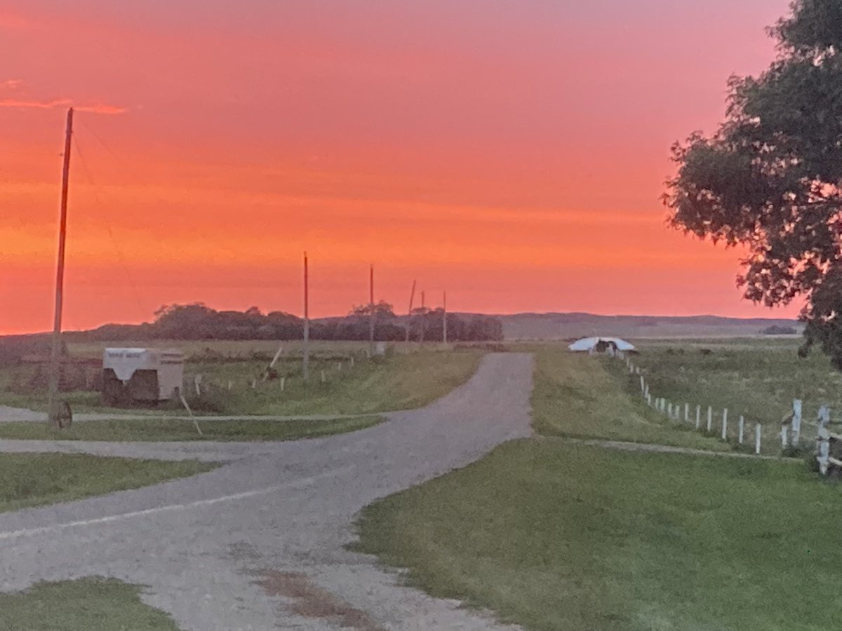 Beautiful sunrise to start the harvest season. Have a safe harvest everyone#naturesbeauty