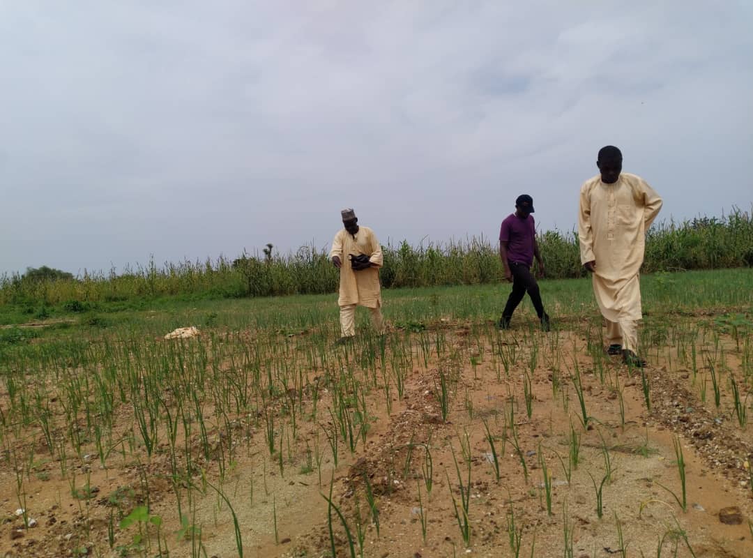 Horn of #Africa is facing worst drought in 40 years, 80 million people #food is insecure. <a href="/creaccng/">CREACC NG</a> through funding from <a href="/FranceInNigeria/">Ambassade de France au Nigéria</a> is tackling such crisis by empowering #women &amp; #farmers in Sokoto.
<a href="/EUinNigeria/">EU in Nigeria 🇪🇺🇳🇬</a> <a href="/FeedtheFuture/">Feed the Future</a> <a href="/EUinNigeria/">EU in Nigeria 🇪🇺🇳🇬</a> <a href="/UKinNigeria/">UK in Nigeria🇬🇧🇳🇬</a> <a href="/IFAD/">International Fund for Agricultural Development</a> <a href="/FAO/">Food and Agriculture Organization</a> <a href="/IFPRI/">IFPRI</a> <a href="/UN/">United Nations</a>