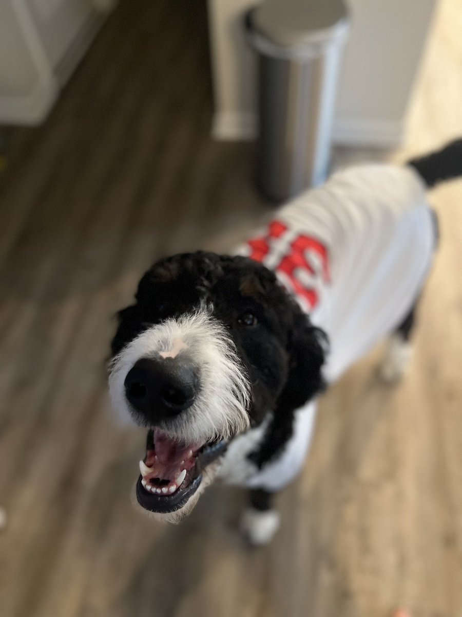 KSkrada's tweet photo. Milo’s favorite thing to do is watch his favorite player/team ⚾️ @CleGuardians @skwanzaa https://t.co/1nyiynJtAU