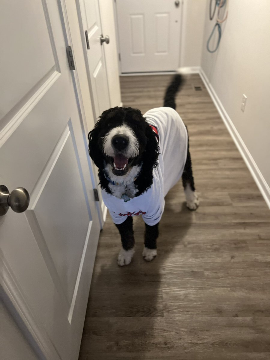 KSkrada's tweet photo. Milo’s favorite thing to do is watch his favorite player/team ⚾️ @CleGuardians @skwanzaa https://t.co/1nyiynJtAU