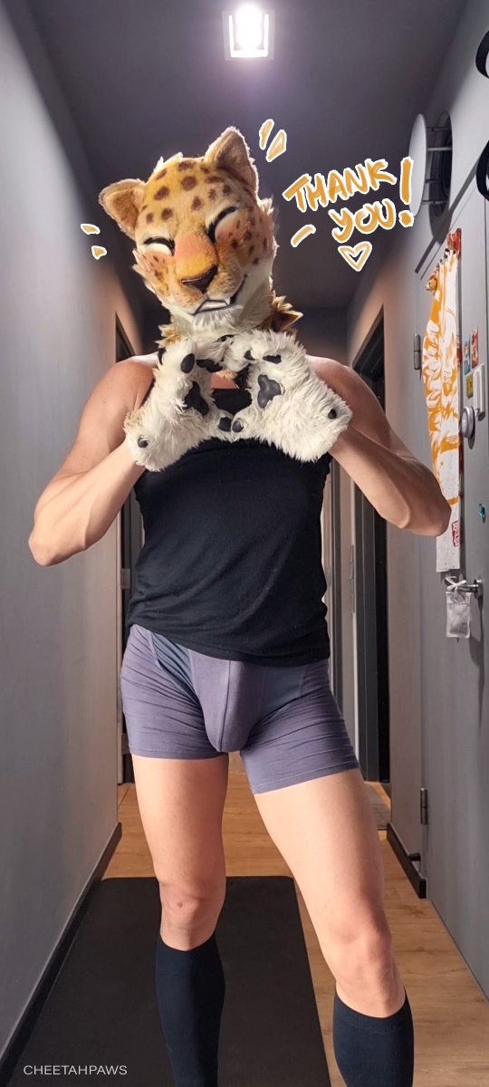 CheeFitness tweet media