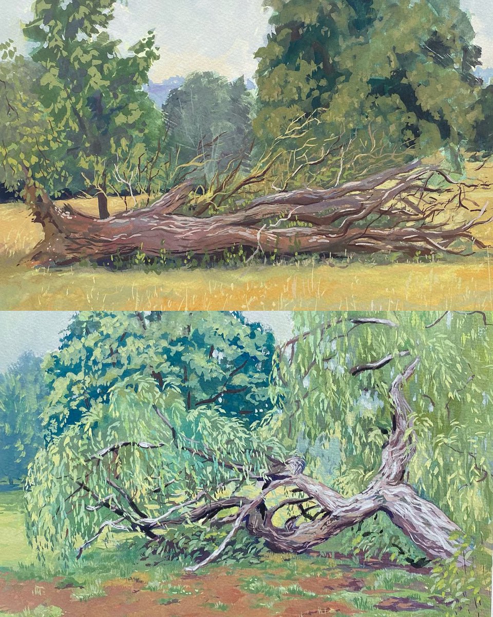 Fallen trees, summer days #gouache #pleinair #paintingfromlife
