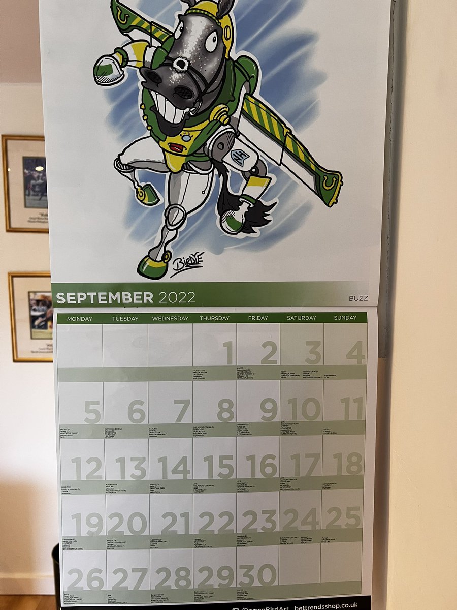 ThurloeThbreds's tweet photo. A new month on the @DarrenBirdie calendar ~ coincides with Buzz first day of pre training with Greta Mason 🐝🌟 #howsbuzz https://t.co/Q8jxyPVpXU