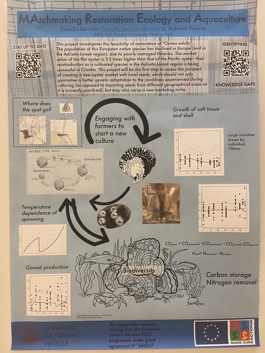 The #MAREA poster is up - p 1.20 go check it out and come talk to me at the poster session tomorrow (or any other time during the conference!) #ECSA59 <a href="/CaFoscari/">Unive Ca' Foscari</a> #MSCA <a href="/NORA_Europe/">NORA_Europe</a>