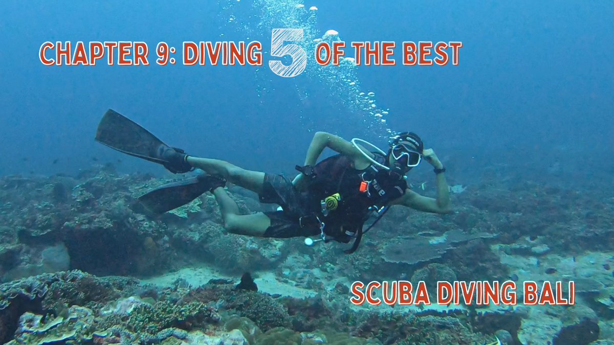 DivingandDogs's tweet photo. The 5 Best Dive Sites on Nusa Lembongan/Nusa Penida - Bali

Scuba Diving Bali - Chapter 9: Diving 5 of the Best (Nusa Lembongan &amp; Pe... https://t.co/YDBV8fSZdu via @YouTube 

#scubadiving #scuba #NusaLembongan #NusaPenida #Indonesia #Bali #MantaPoint #Top5 https://t.co/QGxG4ToLGd